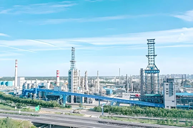 兩臺900T“巨無霸”聯手，方快模塊化鍋爐在濱化霸氣落位
